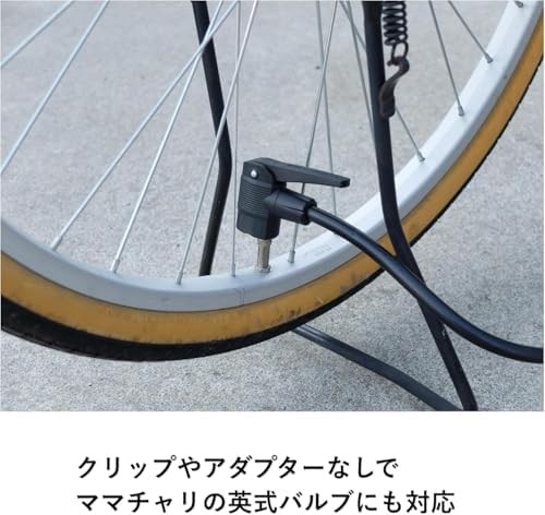 Compact Aluminum Multi Valve Floor Pump — photo 4